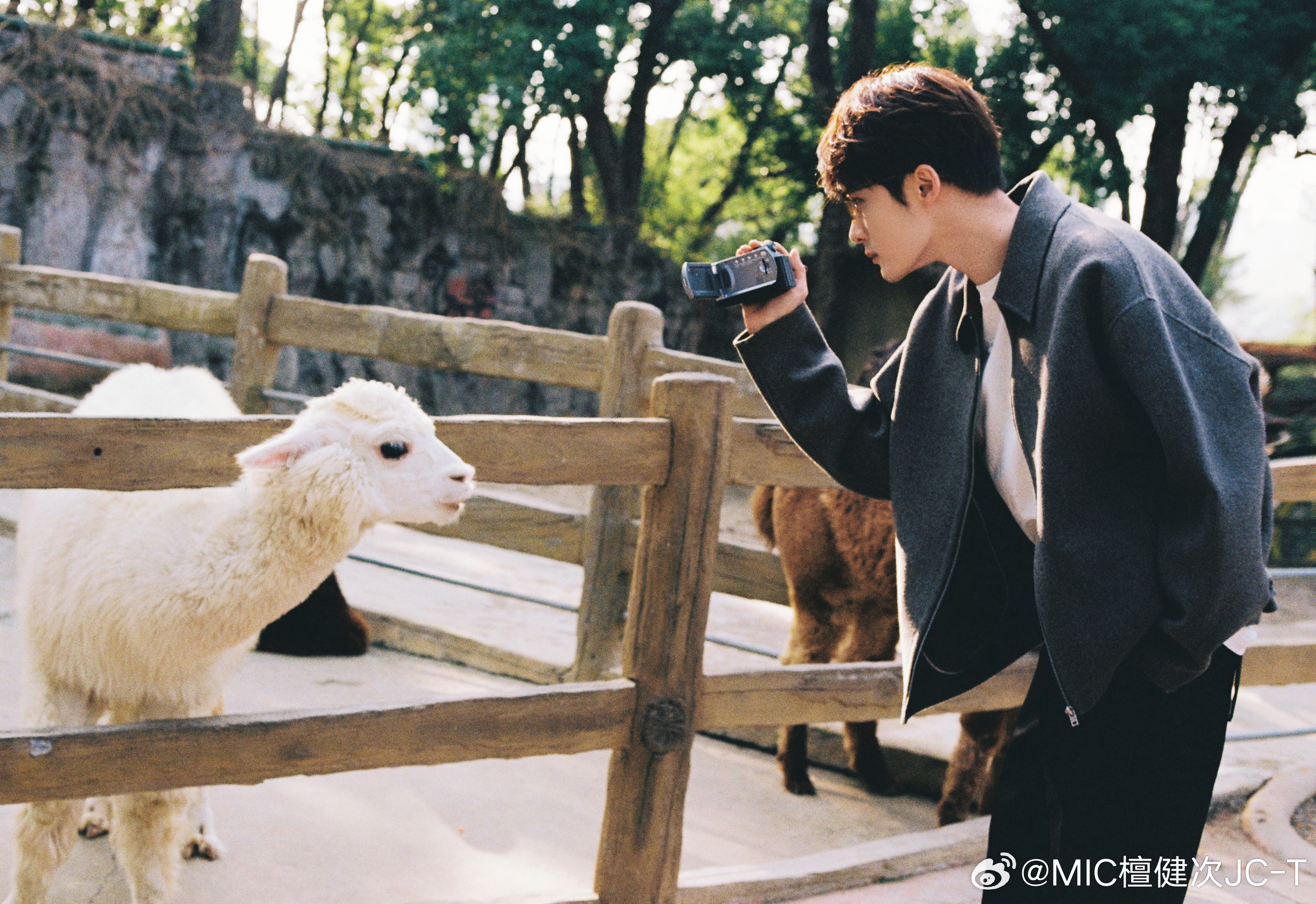 Đường Kỳ đi sở thú – Tang Qi at the zoo