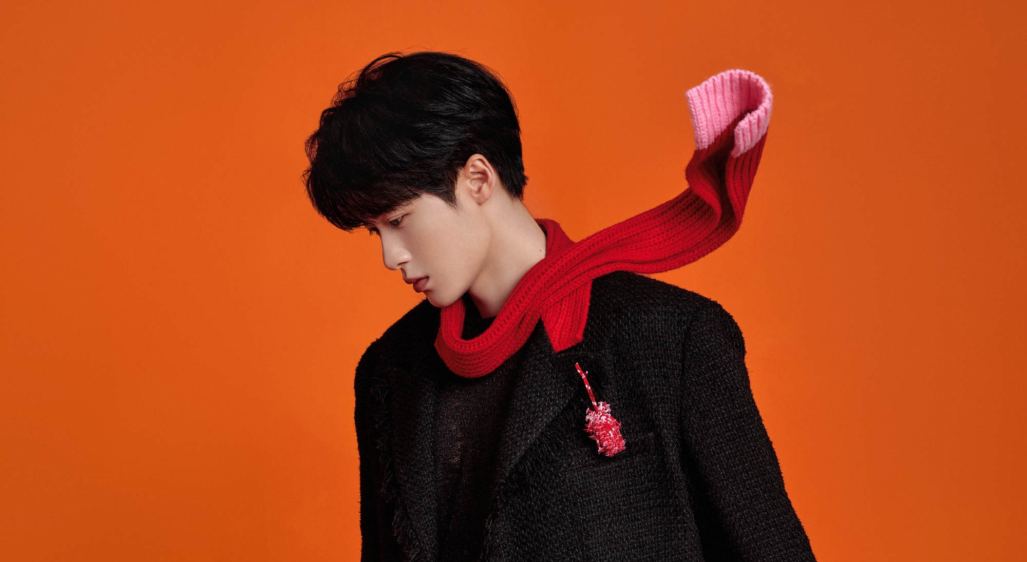 Về Đàn Kiện Thứ – About Tan Jianci